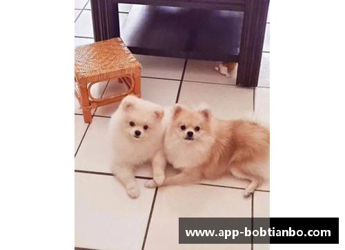 BOB天博美思球员：领袖力与团队合作的完美平衡