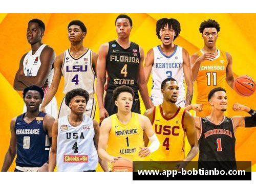 BOB天博NBA球队数量与夺冠热门解析