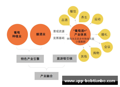 BOB天博新政策实施，球队阵容大洗牌：深度解析背后的机遇与挑战 - 副本