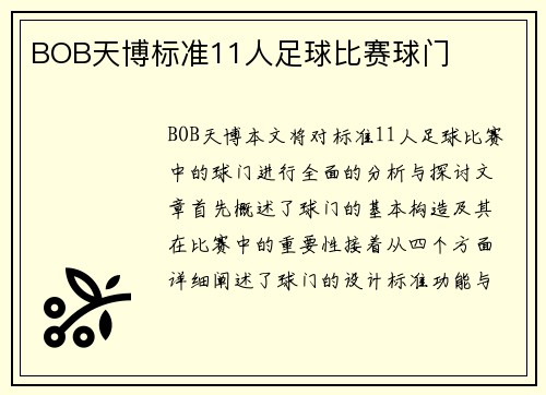 BOB天博标准11人足球比赛球门